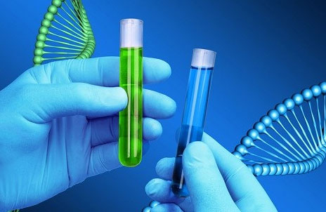 DNA Test  detective services 